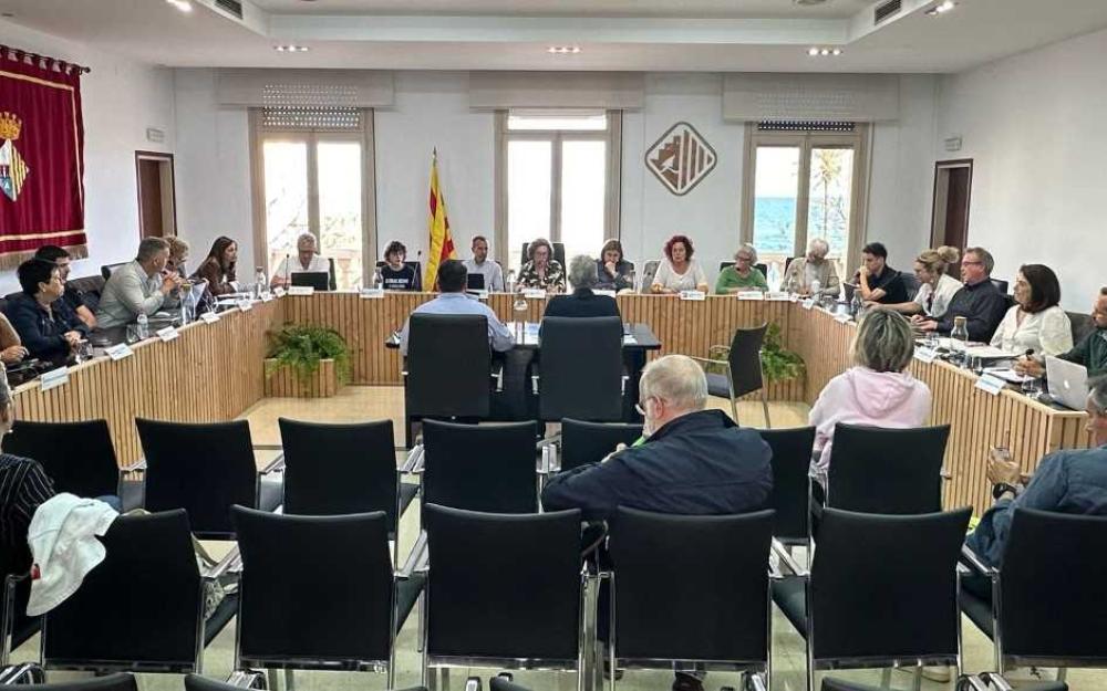 Sessió plenària del 15 de maig de 2025