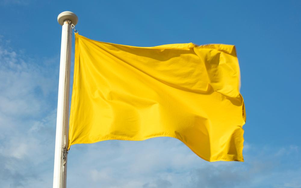 Bandera groga