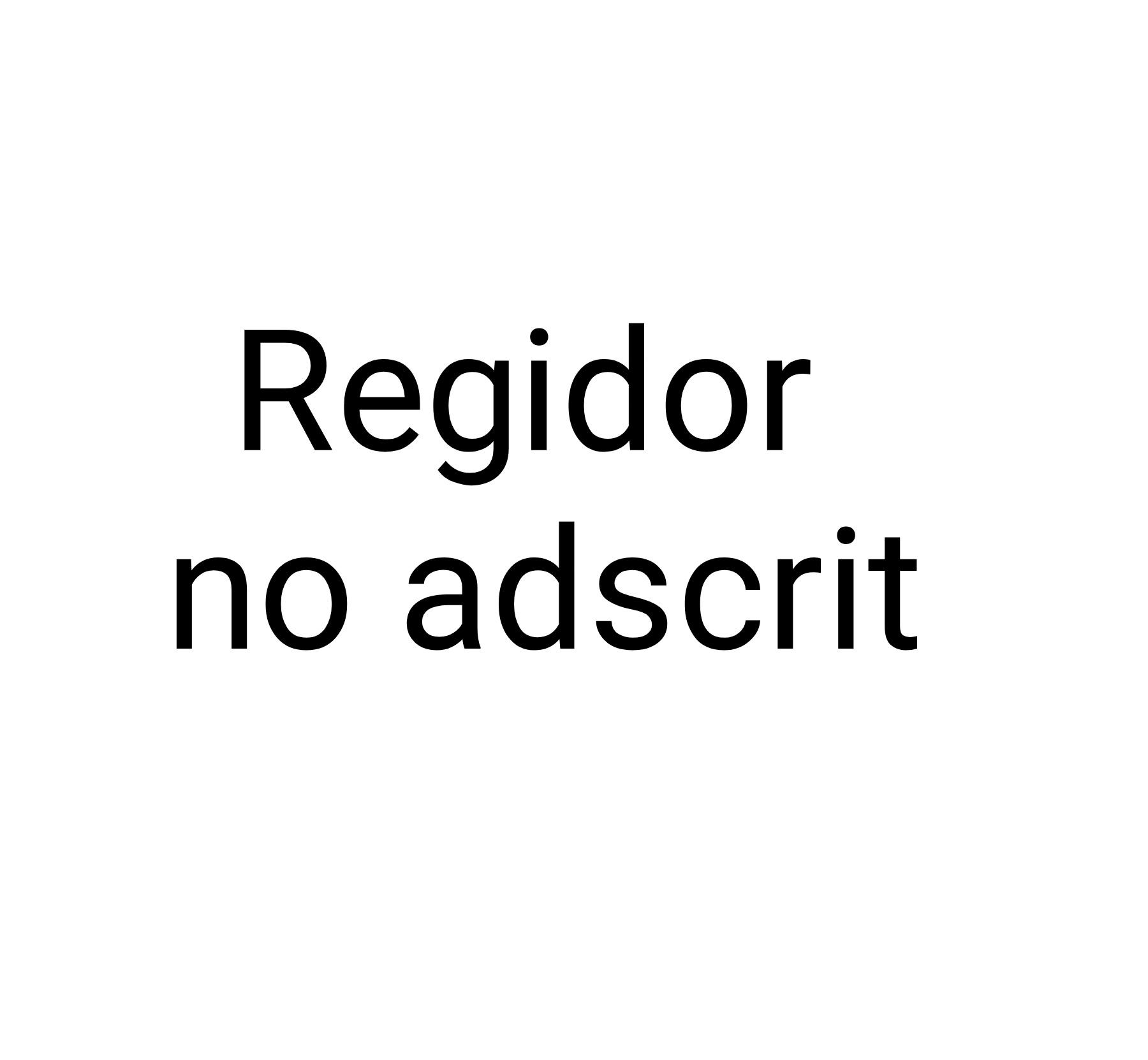 Regidor no adscrit