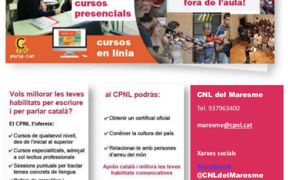 Informació cursos català