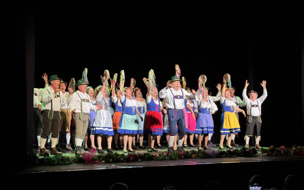 El Musical d'Or, interpretat per l'Associació Boadiné. 