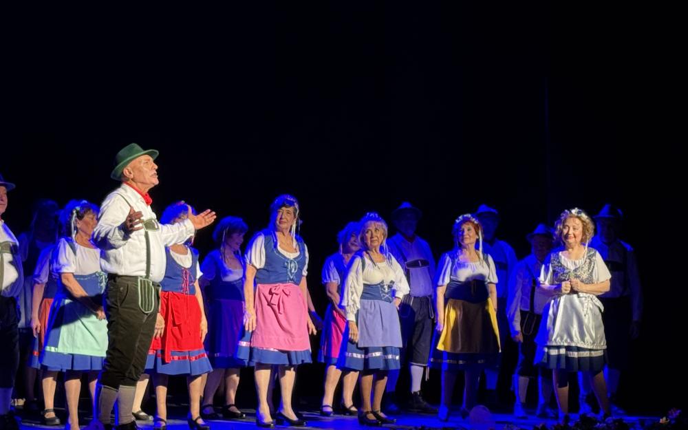 El Musical d'Or, interpretat per l'Associació Boadiné. 