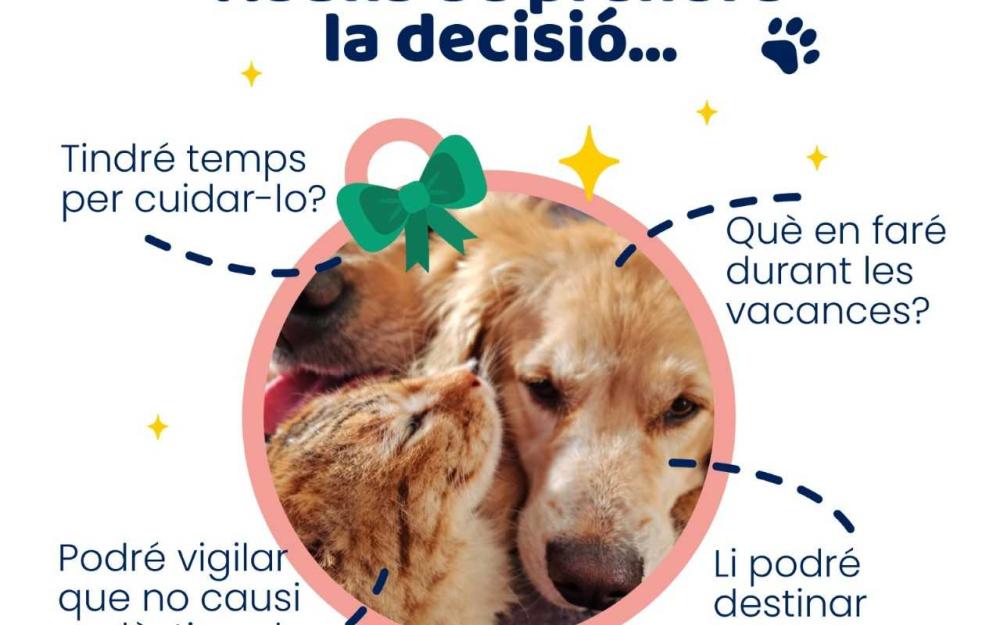 Campanya La teva mascota, la teva responsabilitat 