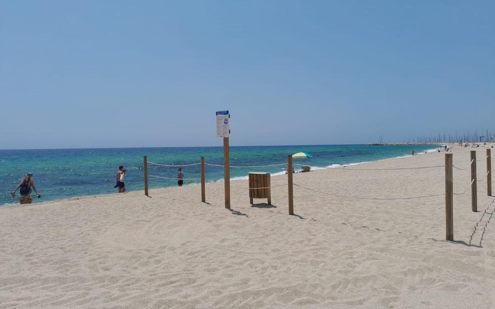 Espaide bany amb gossos a la platja de Ponent