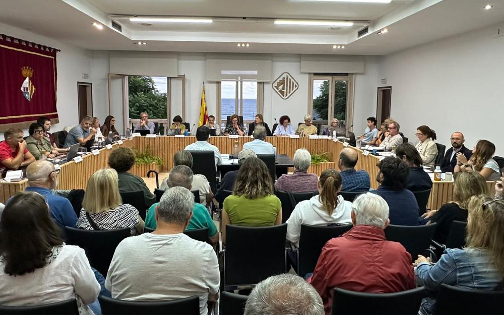 Sessió plenària del 25 de setembre de 2025