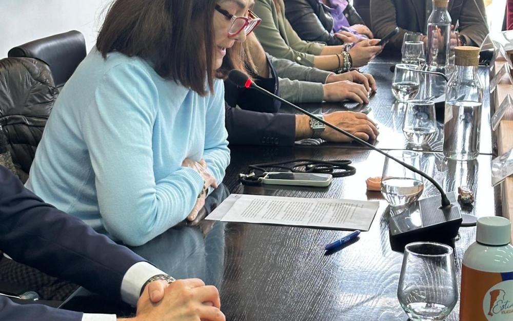 Parlament de Yolanda Laspalas, del PP, a la moció de censura 