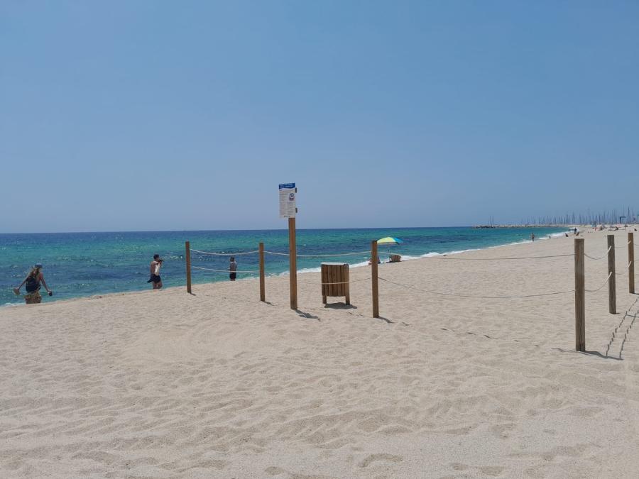 Espaide bany amb gossos a la platja de Ponent