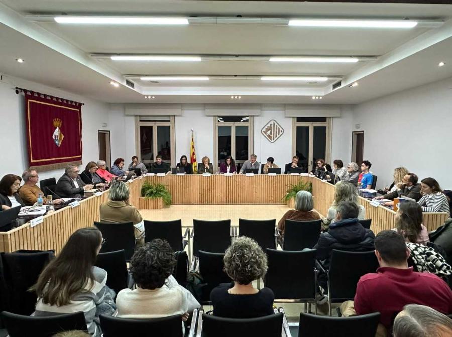 Sessió plenària del 20 de febrer de 2025