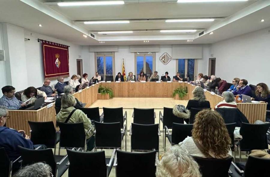 Sessió plenària del 20 de març de 2025