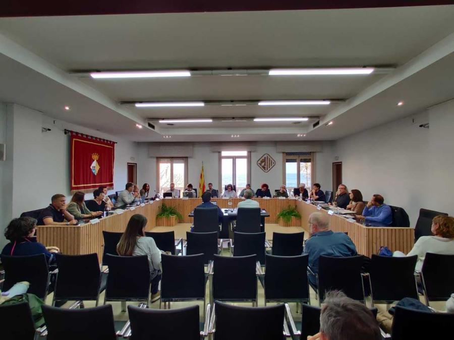 Sessió plenària del 24 d'abril de 2025