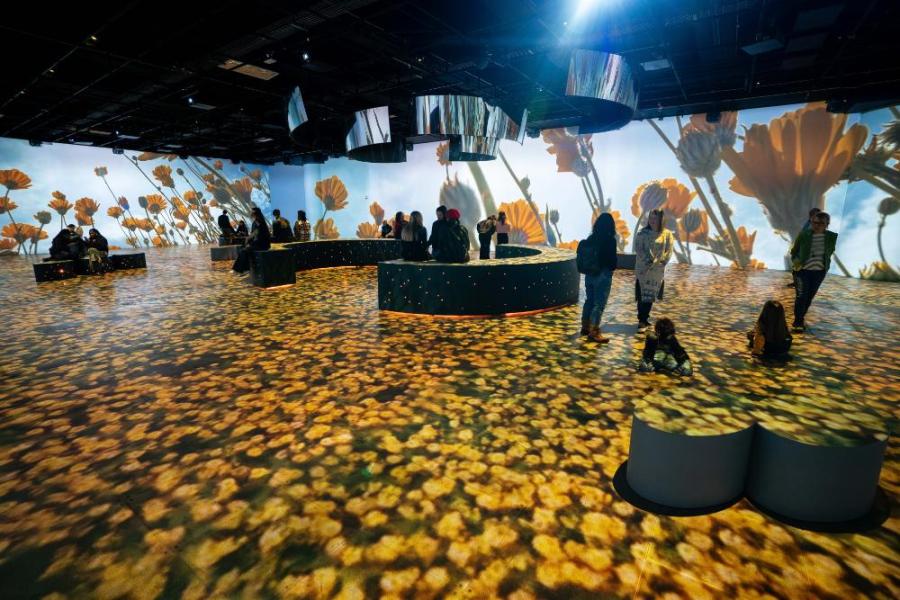 Exposició 'Som Natura' del Caixa-Fòrum Exposició 'Som Natura' del Caixa-Fòrum