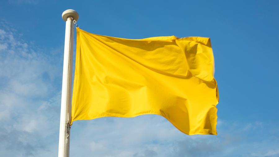 Bandera groga